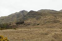 Cjp_2017-04-05_154242.jpg