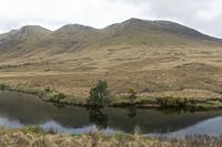 Cjp_2017-04-05_154556.jpg