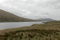 Cjp_2017-04-05_155106.jpg