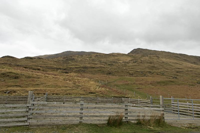 Cjp_2017-04-05_155148.jpg
