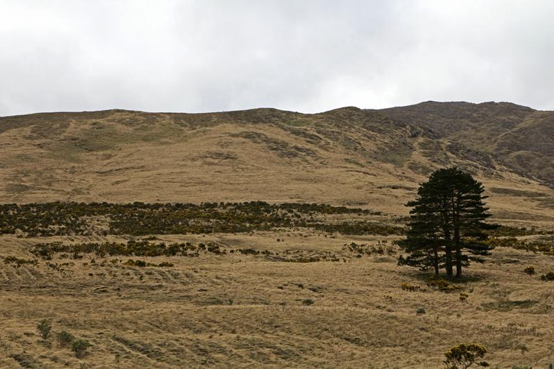 Cjp_2017-04-05_160440.jpg