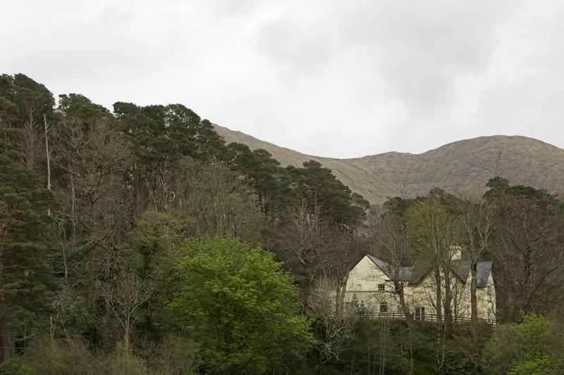 Cjp_2017-04-05_160456.jpg