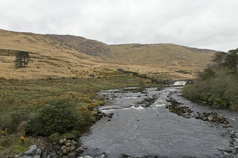 Cjp_2017-04-05_160616.jpg