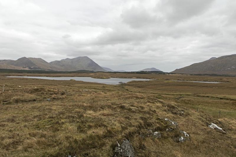 Cjp_2017-04-05_165204.jpg