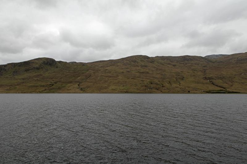 Cjp_2017-04-05_165530.jpg