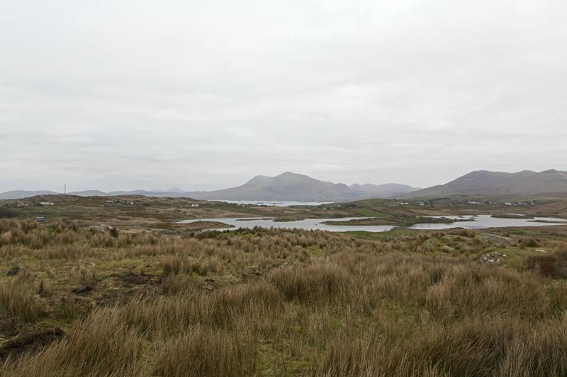Cjp_2017-04-06_064930.jpg