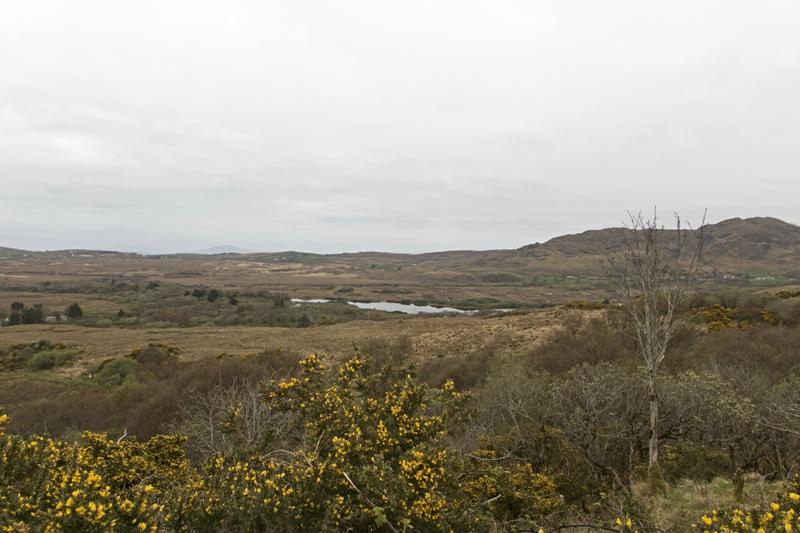 Cjp_2017-04-06_072908.jpg