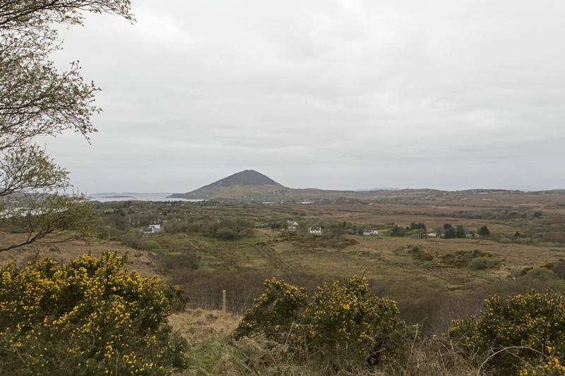 Cjp_2017-04-06_072926.jpg