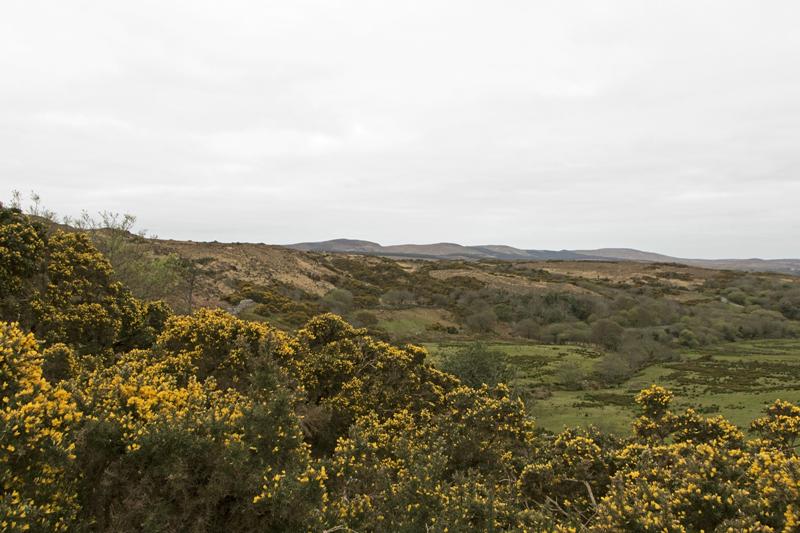 Cjp_2017-04-06_073034.jpg
