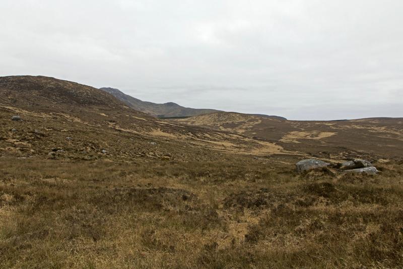 Cjp_2017-04-06_074414.jpg