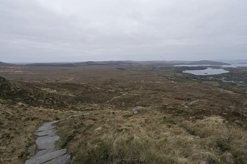 Cjp_2017-04-06_075840.jpg