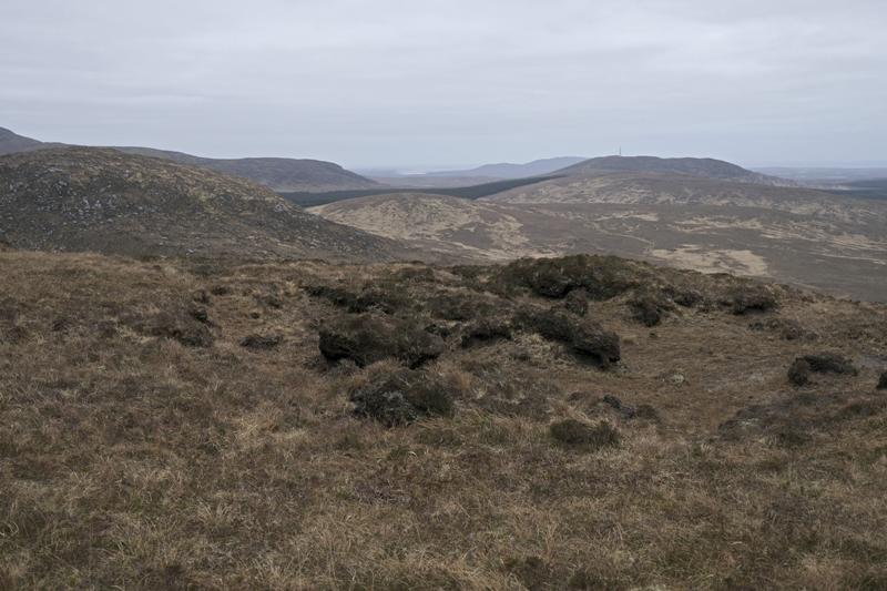 Cjp_2017-04-06_080300.jpg