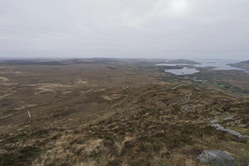 Cjp_2017-04-06_081156.jpg