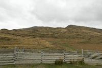Cjp_2017-04-05_155148.jpg
