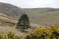 Cjp_2017-04-05_160234.jpg