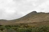 Cjp_2017-04-05_160246.jpg