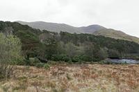 Cjp_2017-04-05_160324.jpg