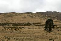 Cjp_2017-04-05_160440.jpg