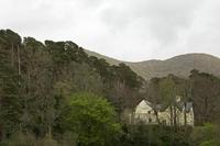 Cjp_2017-04-05_160456.jpg