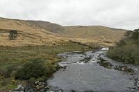 Cjp_2017-04-05_160616.jpg