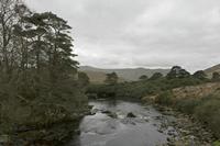 Cjp_2017-04-05_160632.jpg