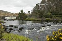 Cjp_2017-04-05_161226.jpg