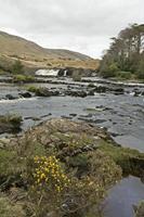 Cjp_2017-04-05_161630.jpg