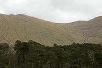 Cjp_2017-04-05_162134.jpg