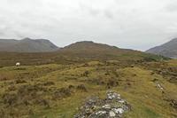 Cjp_2017-04-05_164744.jpg