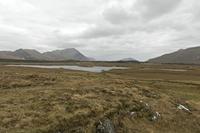 Cjp_2017-04-05_165204.jpg