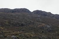Cjp_2017-04-05_170900.jpg