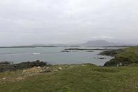 Cjp_2017-04-05_175150.jpg