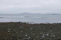 Cjp_2017-04-06_063050.jpg