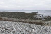 Cjp_2017-04-06_063326.jpg