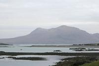 Cjp_2017-04-06_063710.jpg