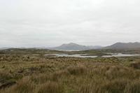 Cjp_2017-04-06_064930.jpg