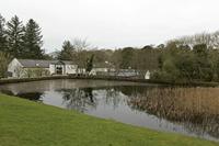 Cjp_2017-04-06_071734.jpg