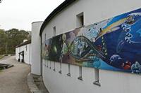 Cjp_2017-04-06_072046.jpg