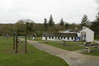 Cjp_2017-04-06_072230.jpg