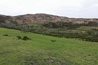 Cjp_2017-04-06_072608.jpg