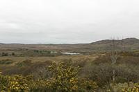 Cjp_2017-04-06_072908.jpg