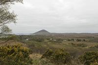 Cjp_2017-04-06_072926.jpg