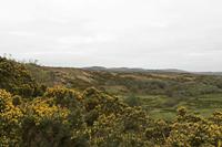 Cjp_2017-04-06_073034.jpg