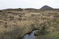 Cjp_2017-04-06_073300.jpg
