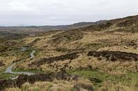Cjp_2017-04-06_073432.jpg