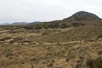 Cjp_2017-04-06_073650.jpg