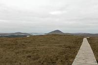Cjp_2017-04-06_073926.jpg