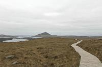 Cjp_2017-04-06_074028.jpg