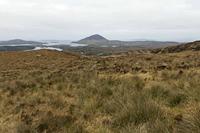 Cjp_2017-04-06_074700.jpg