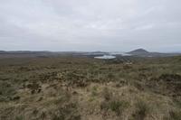 Cjp_2017-04-06_075052.jpg